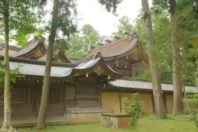 多賀大社の本殿・本堂