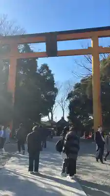 川越氷川神社(埼玉県)