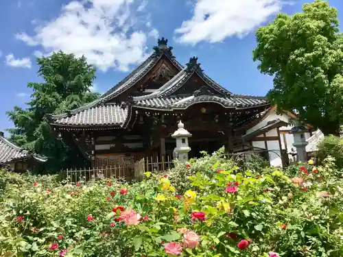 おふさ観音（観音寺）(奈良県)