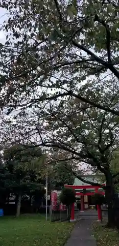 日枝神社の鳥居