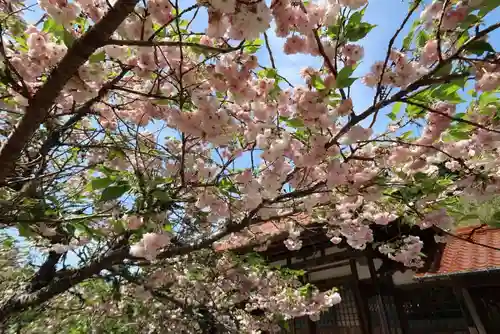 西円寺(山口県)