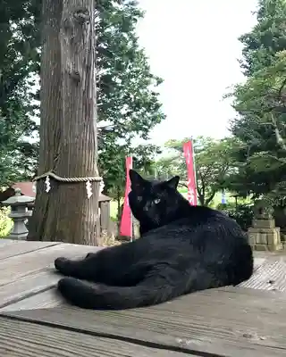 高司神社〜むすびの神の鎮まる社〜(福島県)