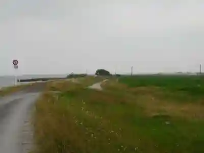 神社(名称不明)の景色