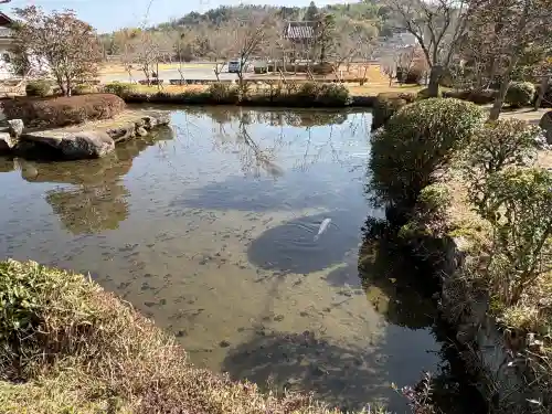 大御堂観音寺の{uncategorized: "未分類", other: "その他", undefined: "問題あり", building: "その他建物", grave: "お墓", sacred_gate: "鳥居", guardian: "狛犬", statue: "像", buddha: "仏像", history: "歴史", nature: "自然", garden: "庭園", animal: "動物", pagoda: "塔", temizu: "手水舎", mountain_gate: "山門・神門", sanctuary: "本殿・本堂", subordinate: "末社・摂社", art: "芸術", scenery: "景色", jizo: "地蔵", ema: "絵馬", goshuin: "御朱印", omikuji: "おみくじ", items: "授与品その他", amulet: "お守り", goshuincho: "御朱印帳", eats: "食事", festival: "お祭り", votive_dance: "神楽", shichigosan: "七五三参", wedding: "結婚式", experience: "体験その他", initially: "初詣", around: "周辺", anti_infection: "感染症対策"}