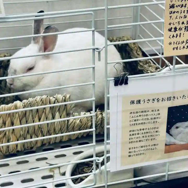 出雲大社埼玉分院(埼玉県)