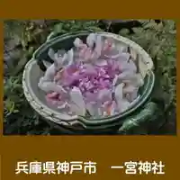 一宮神社の手水舎