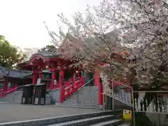 甚目寺の本殿