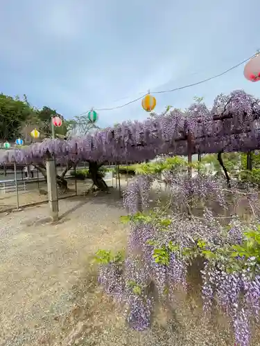 童学寺(徳島県)