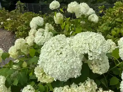 熊谷寺(徳島県)