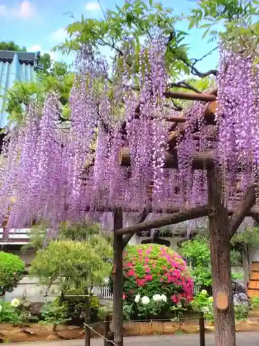 愛染院(東京都)