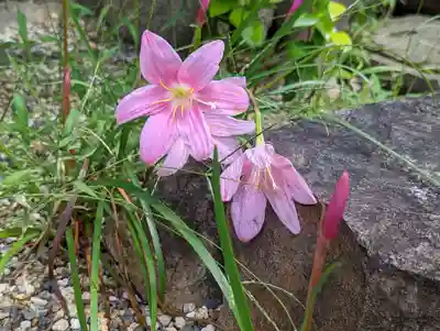 大松禅寺(京都府)