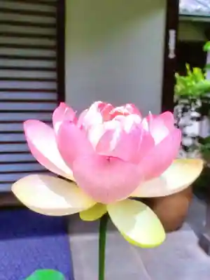 宗延寺(東京都)