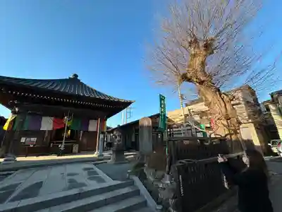 今宮坊(埼玉県)