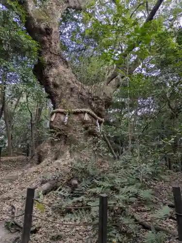 熱田神宮(愛知県)