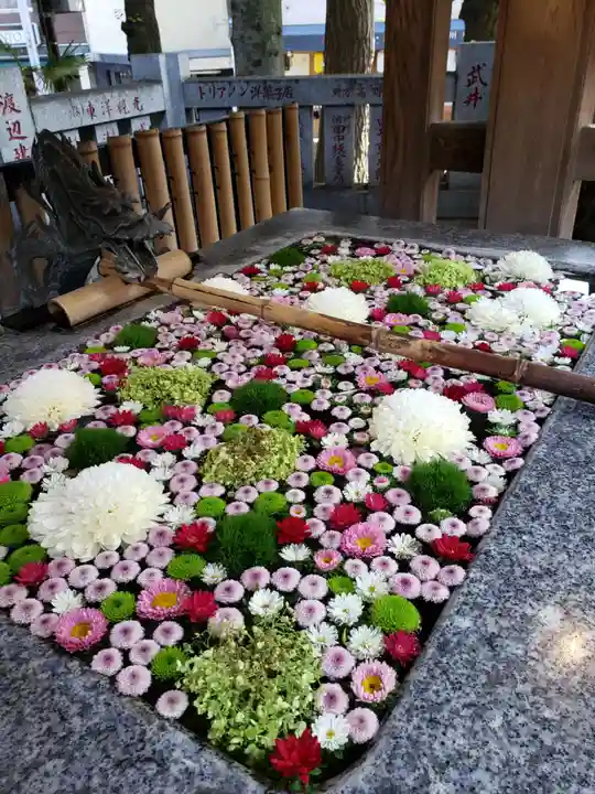 高円寺氷川神社(東京都)