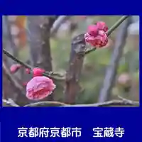 宝蔵寺(京都府)