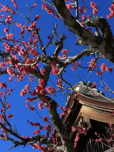 小國神社(静岡県)