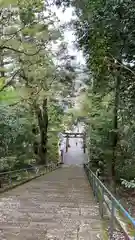 埴生護國八幡宮の鳥居