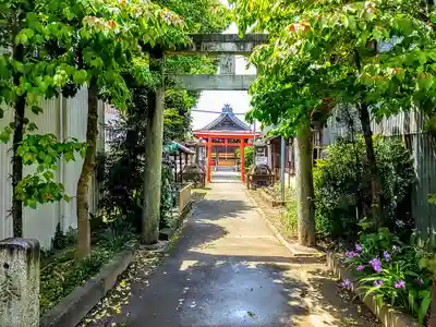秋葉三尺坊大士 大士堂(秋葉教会)の鳥居