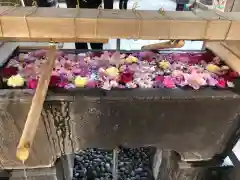 鳩森八幡神社の手水