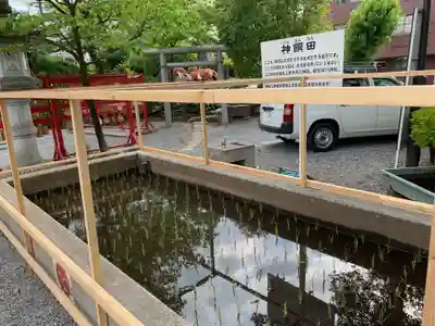 鎮守氷川神社のお祭り