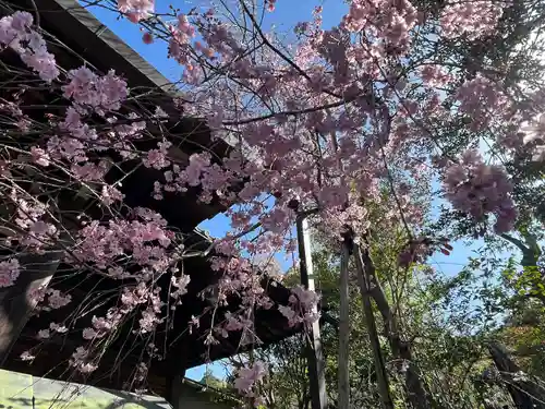 浄土院(京都府)