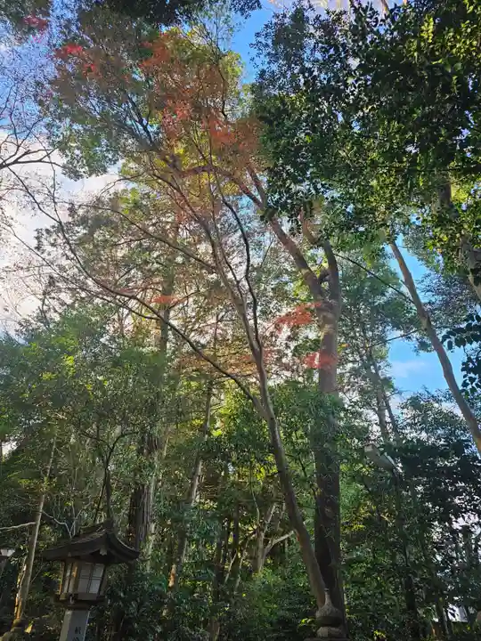 駒木諏訪神社(千葉県)