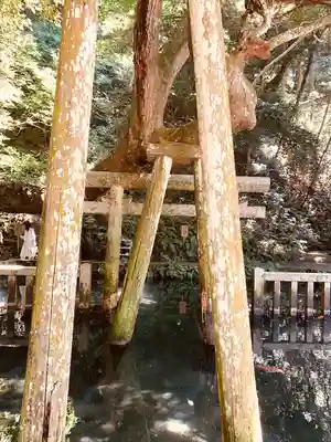 鹿島神宮(茨城県)