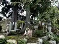 武雄神社の自然