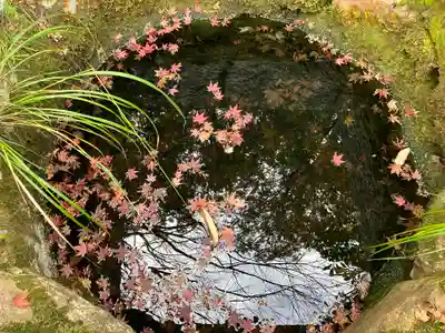 井山 宝福寺(岡山県)