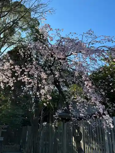 伊勢山皇大神宮(神奈川県)