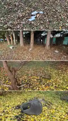 尾札部稲荷神社(北海道)