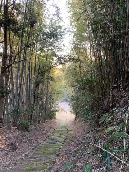皇産霊神社の自然