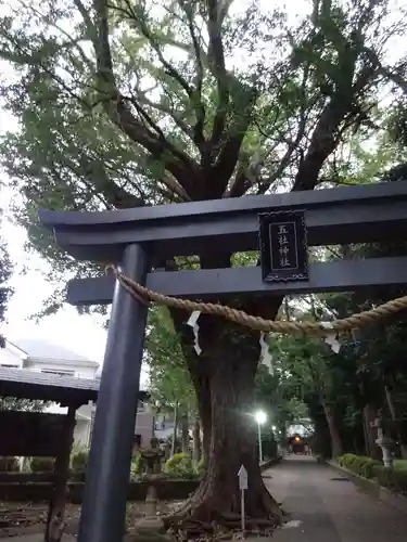 五社神社の鳥居