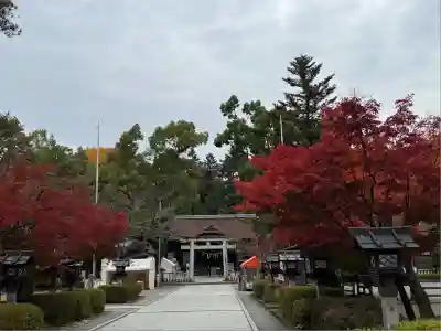 武田神社(山梨県)
