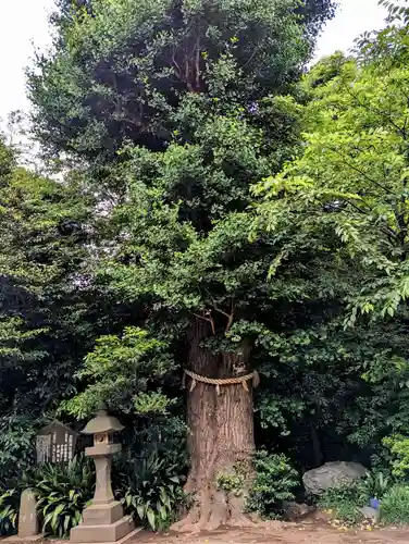 城山熊野神社(東京都)