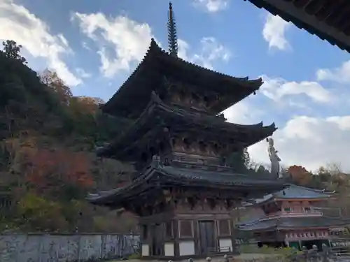 南法華寺（壷阪寺）(奈良県)