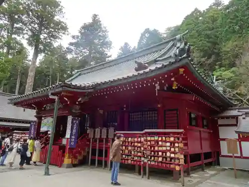 箱根神社の本殿・本堂