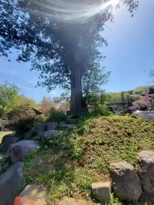 大雄院(群馬県)