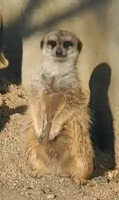 鑁阿寺(栃木県)