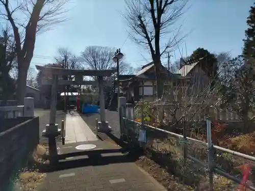 青柳稲荷神社の鳥居