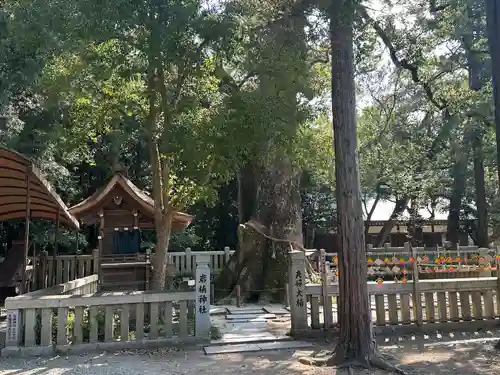 伊弉諾神宮(兵庫県)