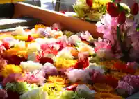 三津厳島神社の手水舎