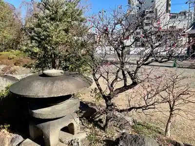 天竜寺(東京都)