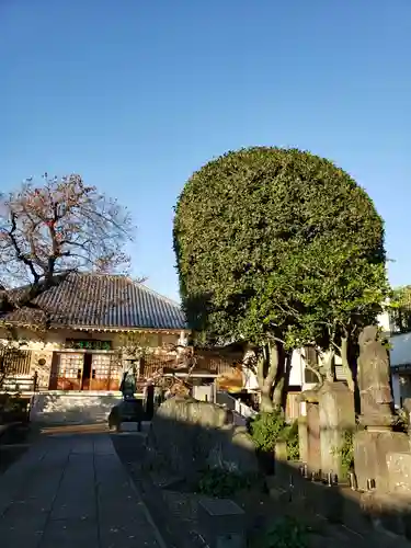 禅定院のその他建物