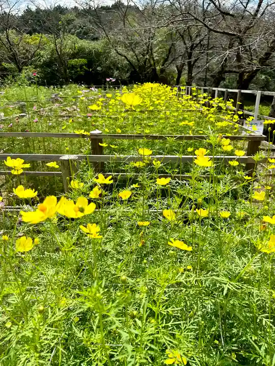 安倍文殊院 (奈良県)