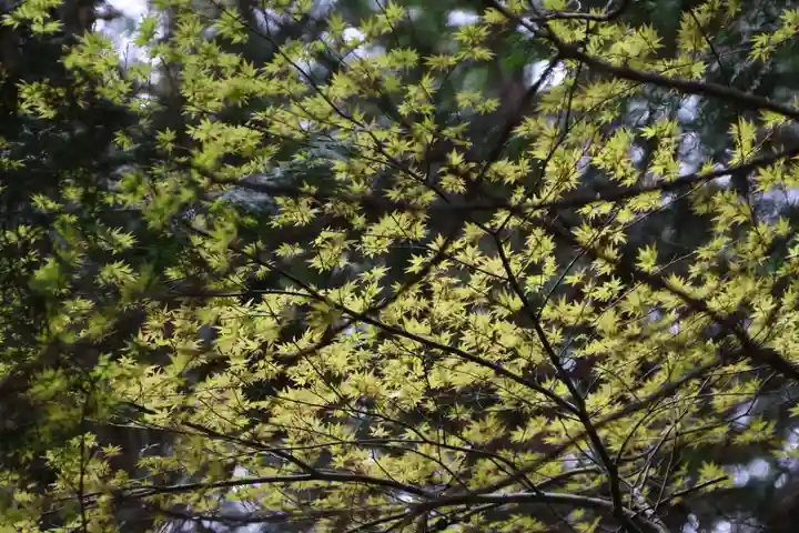 滑川神社 - 仕事と子どもの守り神の自然