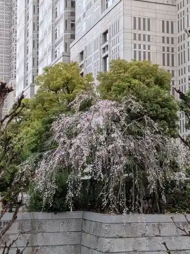 熊野神社(東京都)