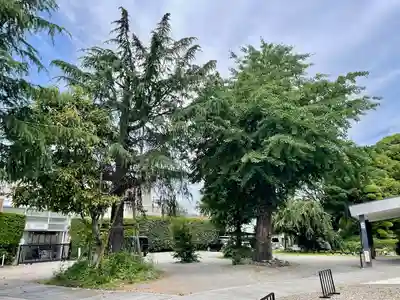 法蓮寺(東京都)