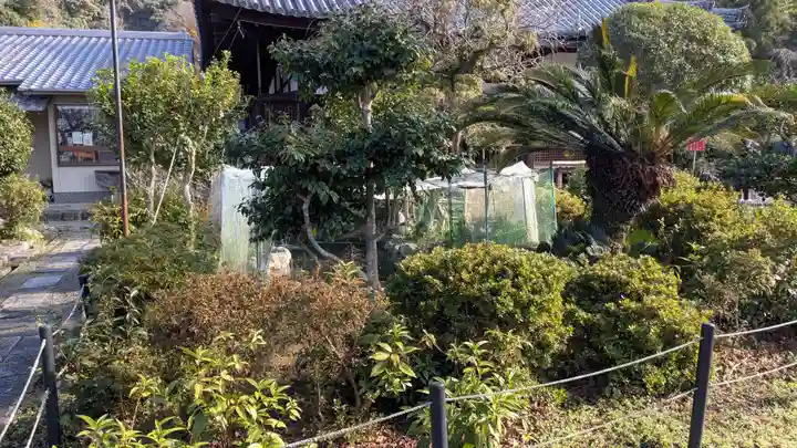 惠心院の庭園